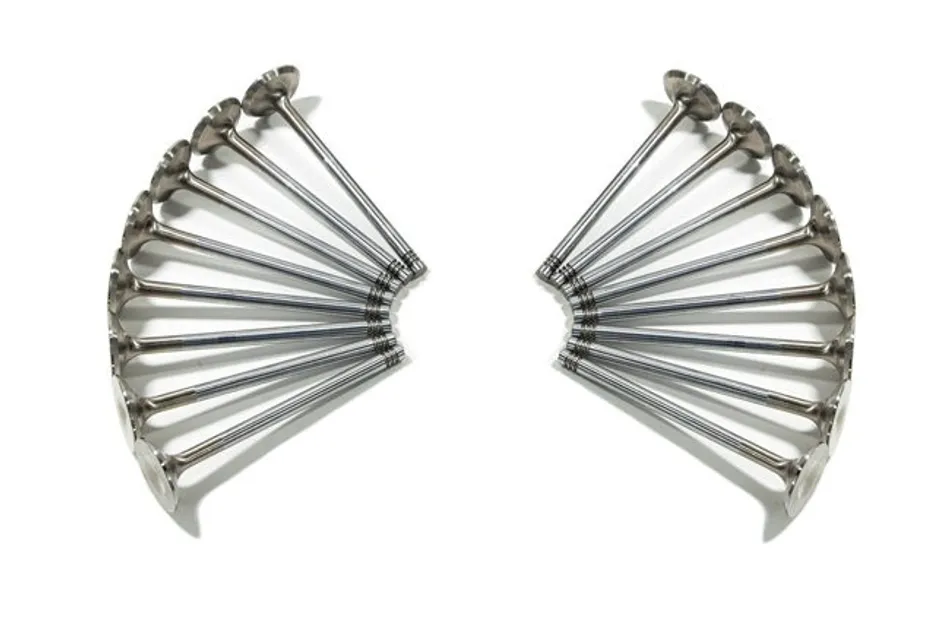 Ferrea Intake and Exhaust Valves Kit For Audi/VW 2.0T FSI SKU373511