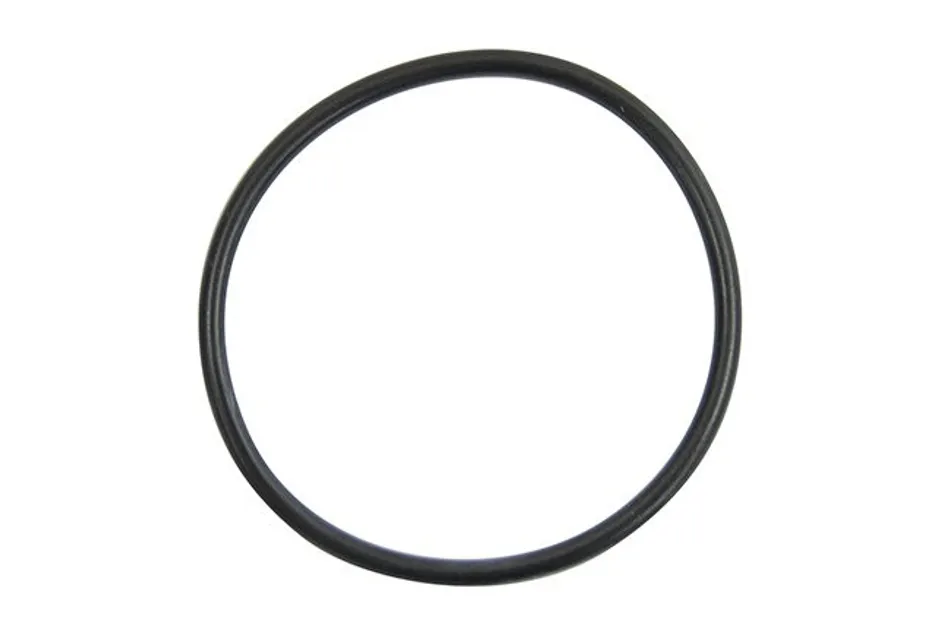 OES DSG Transmission Filter ORing N 910 845 01 75003820 USP