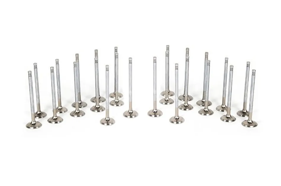 Ferrea Intake and Exhaust Valves Kit For Porsche 3.6TT FER36TT3