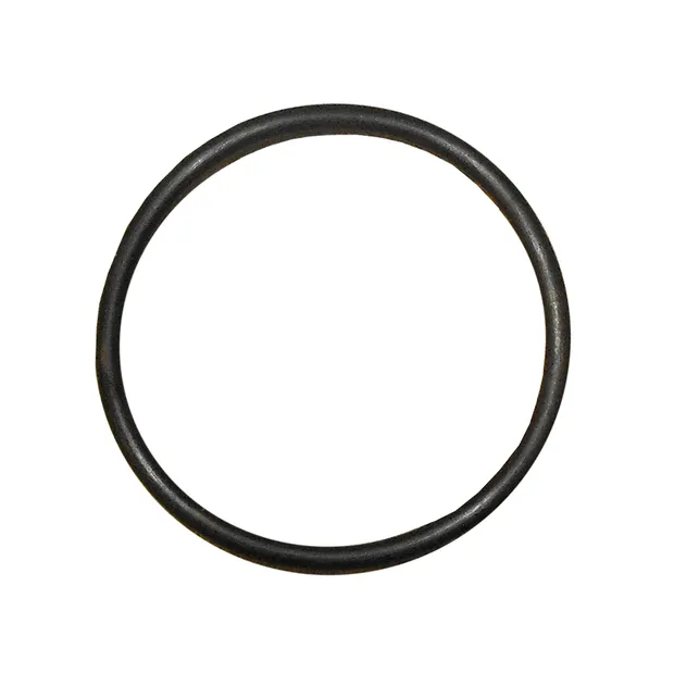 Ajusa Engine Coolant Thermostat O-Ring - 06H121119E