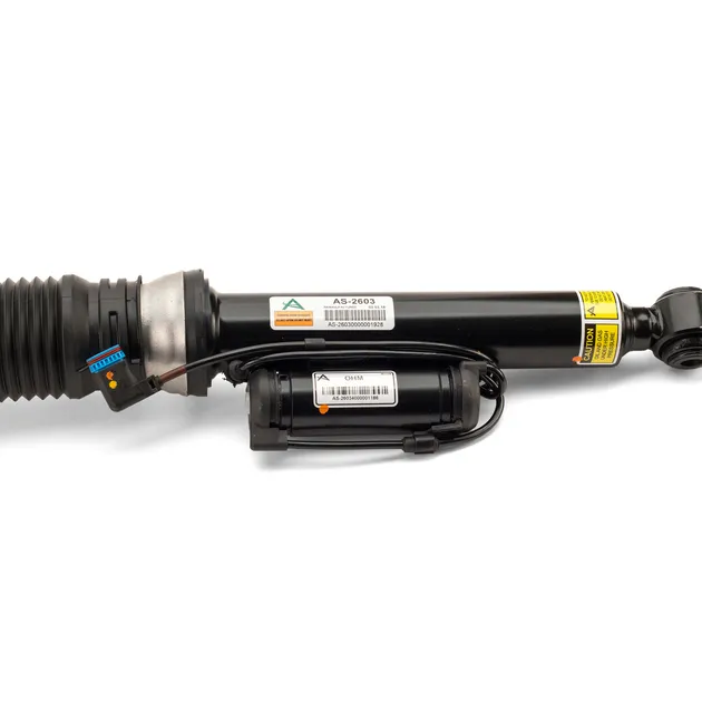 Arnott Rear Right Air Suspension Strut - 221320561388