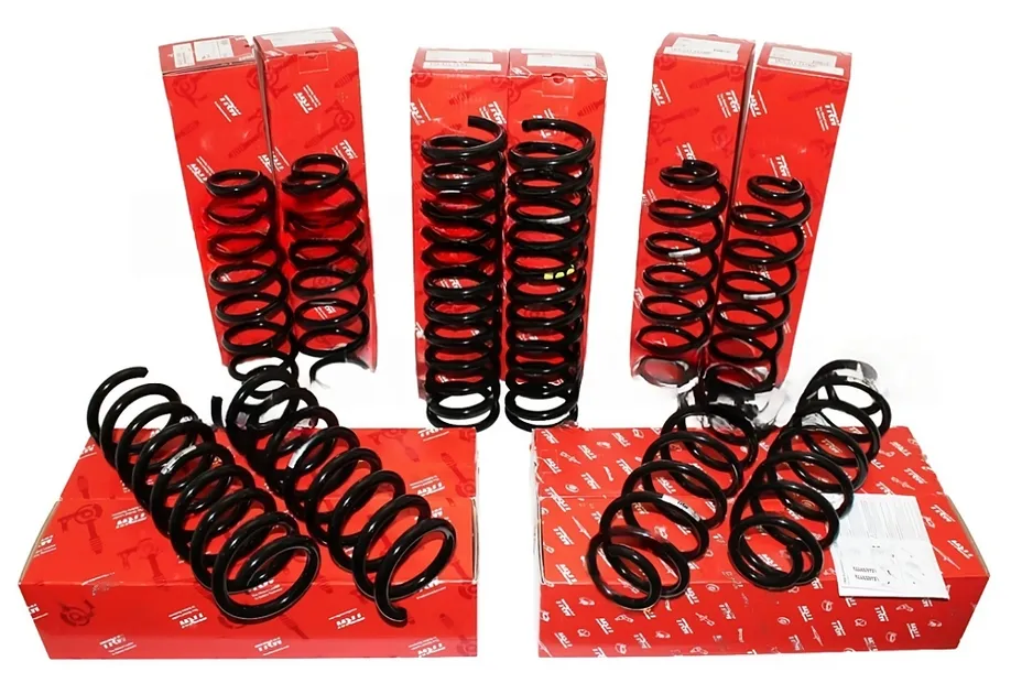 TRW Rear Coil Spring - 2103243304