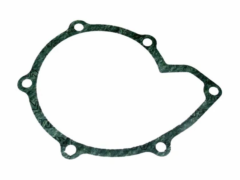 Victor Reinz Engine Water Pump Gasket - 11511265654