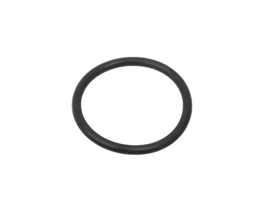 CRP Automatic Transmission Filter O-Ring - 24341422152