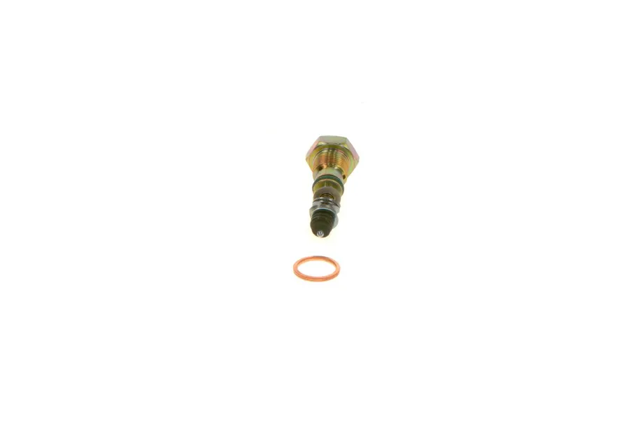 Bosch Fuel Injection Fuel Distributor Valve Kit - 0015861907