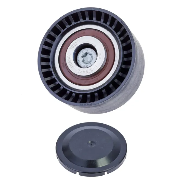 INA Lower Accessory Drive Belt Idler Pulley - 11287615130