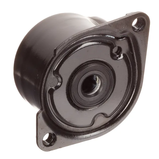 INA Accessory Drive Belt Tensioner - 11287786880