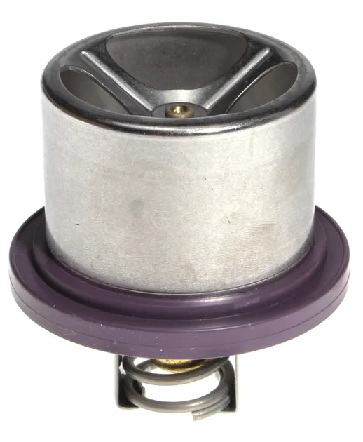 MAHLE Engine Coolant Thermostat - 94810612501