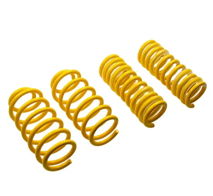 ST Suspension Lowering Springs For Audi - 65170
