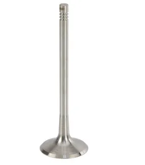 TRW Intake Valve For 2.0T