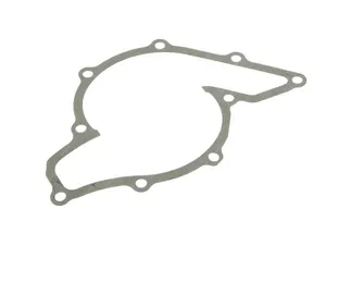 OES Water Pump Gasket