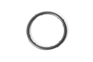 OES Coolant Flange O-Ring