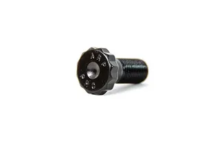 ARP High Strength Flywheel Bolt - Priced Each
