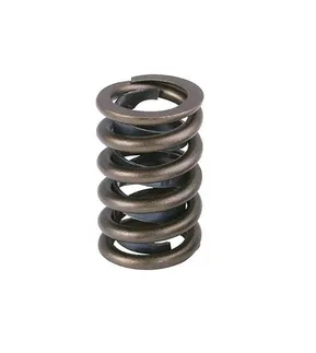 Ferrea Single Valve Spring For BMW N54