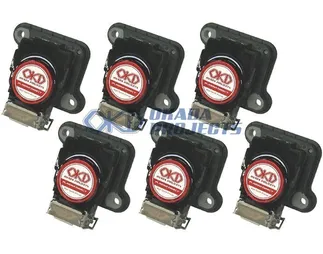 Ignition Projects By OKD: Plasma Direct Ignition Coils For 2.7T