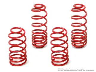 Neuspeed Sport Spring Kit For MKIV (55.10.74)