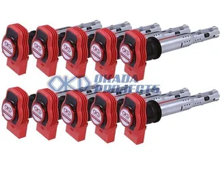 Ignition Projects By OKD: Plasma Direct Ignition Coils For RS6 V10
