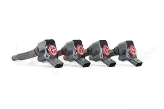 Ignition Projects by Okada: PLASMA DIRECT Ignition Coils