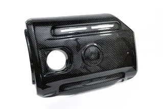 USP Carbon Fiber Engine Cover: TSI