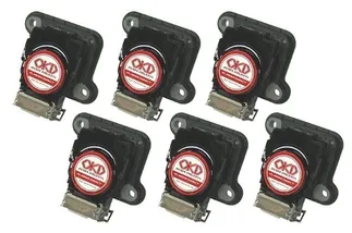 Ignition Projects By OKD: Plasma Direct Ignition Coils For 2.7T