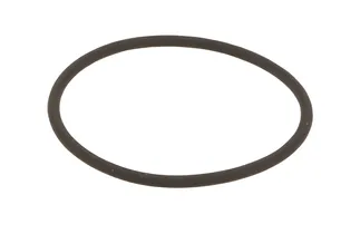 OES Camshaft Adjuster Magnet Seal O-Ring