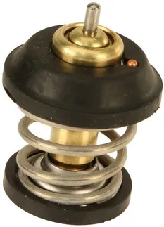 OES Thermostat - TSI