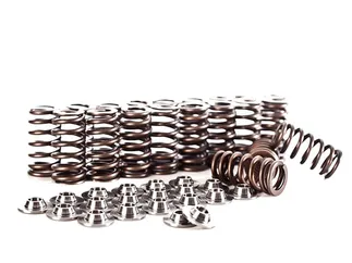 IE 5 CYL Spring/Retainer Kit For 2.5L MK5/6 5 CYL & TTRS