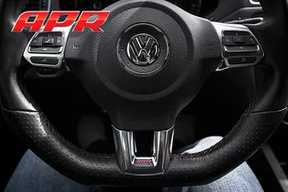 APR Steering Wheel Insert- Satin Silver