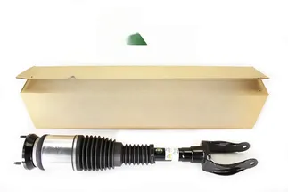 Arnott Front Right Air Suspension Strut - 1663205066