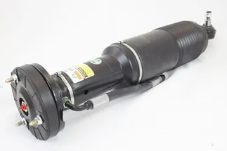 Arnott Front Left Suspension Strut - 2303208713