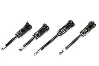 Arnott Front and Rear Air Spring to Coil Spring Conversion Kit - C-2609