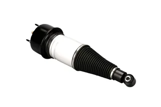 Arnott Rear Air Suspension Strut - C2C41341