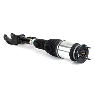 Arnott Front Left Air Suspension Strut - 1663201368