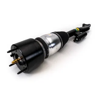 Arnott Front Right Air Suspension Strut - 2533207001