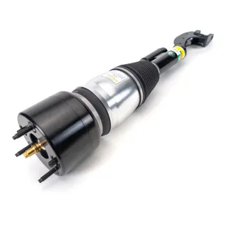 Arnott Front Left Air Suspension Strut - 2533206901