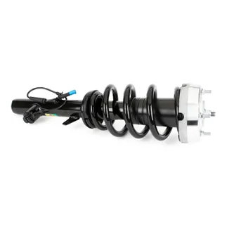 Arnott Front Left Suspension Strut and Coil Spring Assembly - 37106875083
