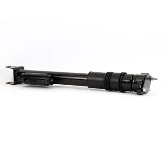 Arnott Rear Suspension Shock Absorber - 292320170064