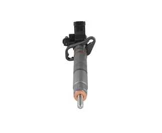 Bosch Fuel Injector - LR078606