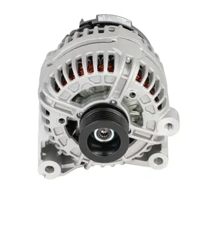 Bosch Alternator - 12317541694