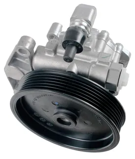 Bosch Power Steering Pump - 005466160188