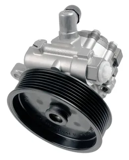 Bosch Power Steering Pump - 0064663101