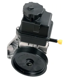 Bosch Power Steering Pump - 006466640180