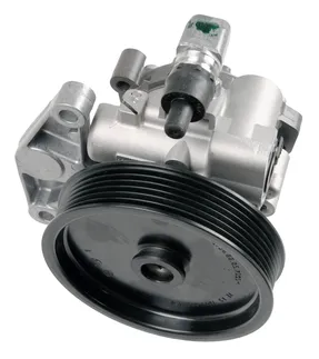 Bosch Power Steering Pump - 005466950188