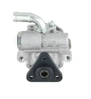 Bosch Power Steering Pump - 7L8422154E