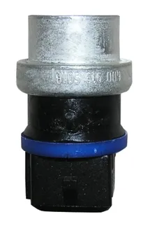 CRP Engine Coolant Temperature Sensor - 357919501A