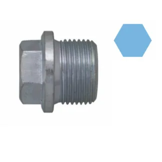 Corteco Engine Oil Drain Plug - 11131250089