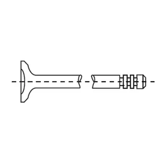 Corteco Engine Intake Valve - 11347513019