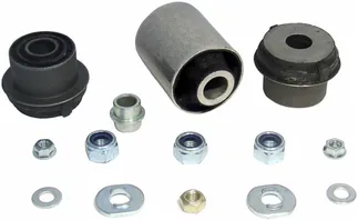 Delphi Front Lower Suspension Control Arm Bushing Kit - 2023300075