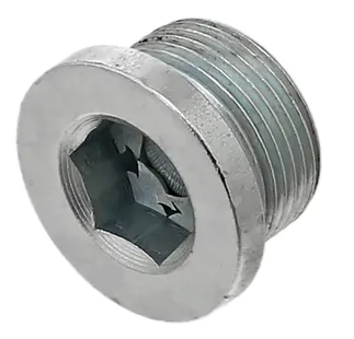 ElringKlinger Transmission Drain Plug - N90215404