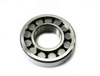 FAG Rear Outer Wheel Bearing - 113501277A